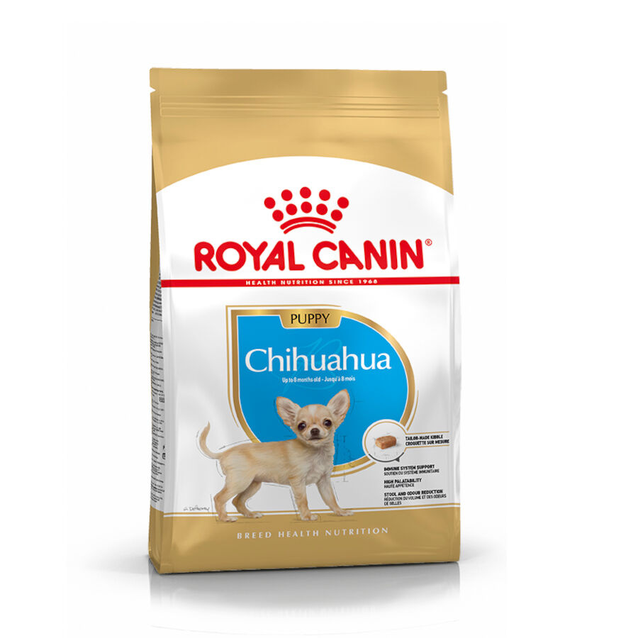 Royal Canin Puppy Chihuahua ra&ccedil;&atilde;o para c&atilde;es , , large Imagem n&uacute;mero 1