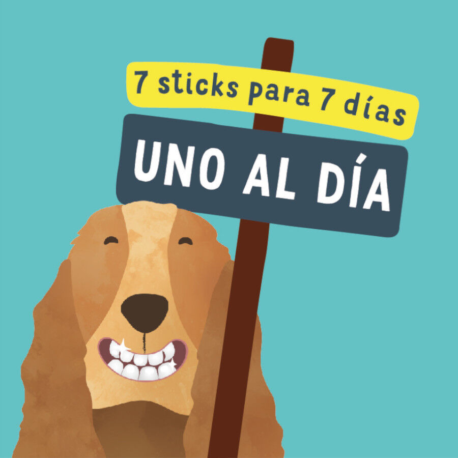 7 sticks Edgard y Cooper Snacks Dent&aacute;rios Adult Large Ma&ccedil;&atilde; e Eucalipto para c&atilde;es, , large Imagem n&uacute;mero 6