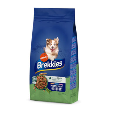 Affinity Brekkies Frango ração para cães