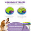 Outward Hound Nina Ottosson Lickin' Layers Brinquedo interativo com snacks para cães , , large Indicador imagem número 6