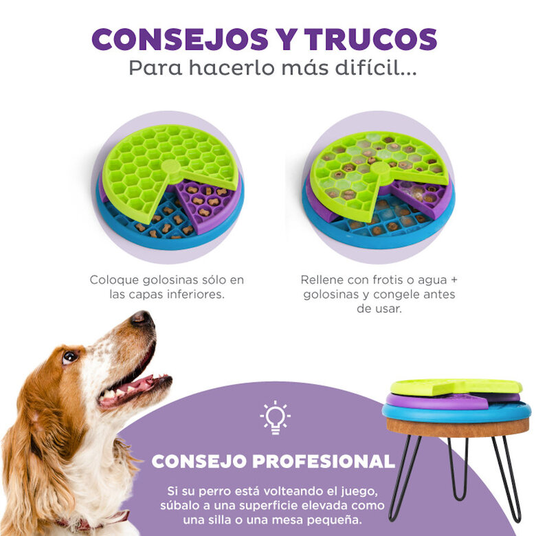 Outward Hound Nina Ottosson Lickin' Layers Brinquedo interativo com snacks para cães ,  Imagem número 6 Outward Hound Nina Ottosson Lickin' Layers Brinquedo interativo com snacks para cães , , large Imagem número 6