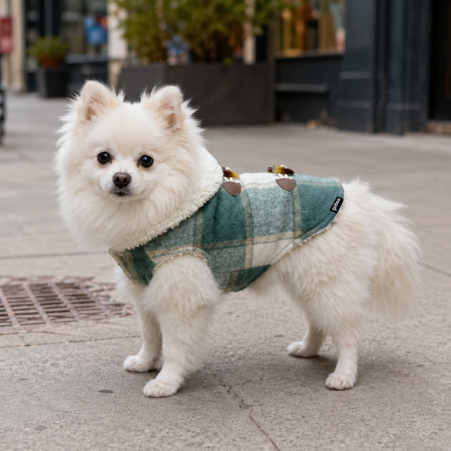 Gotoo Casaco Tartan com Capuz para c&atilde;es, , large Imagem n&uacute;mero 1