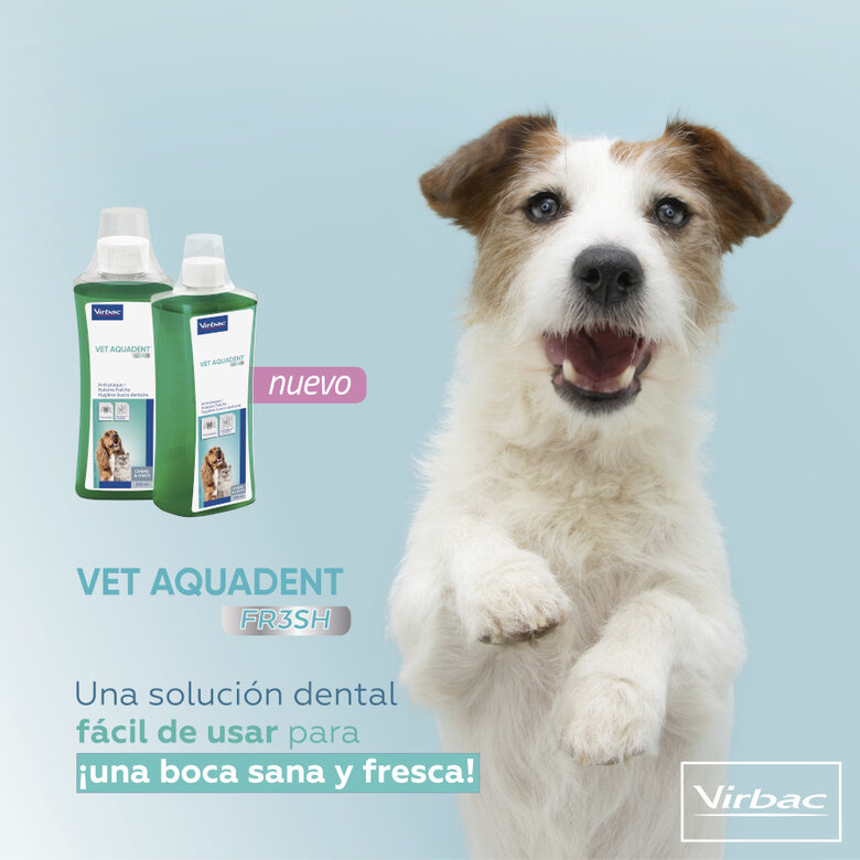 Virbac Vet Aquadent Elixir Bucal para cães e gatos, , large image number null