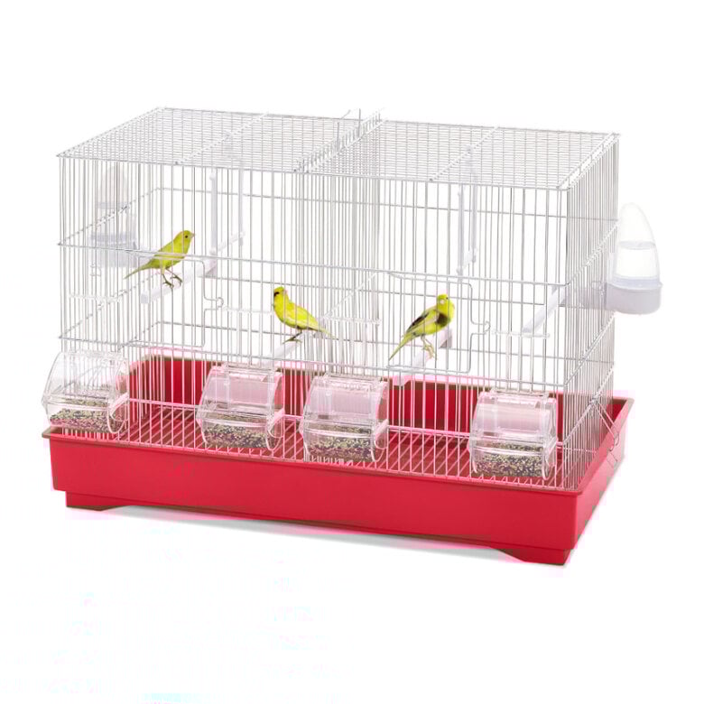 Imac Cova 55 Gaiola com divisor para pássaros,  Imagem número 1 Imac Cova 55 Gaiola com divisor para pássaros, , large Imagem número 1
