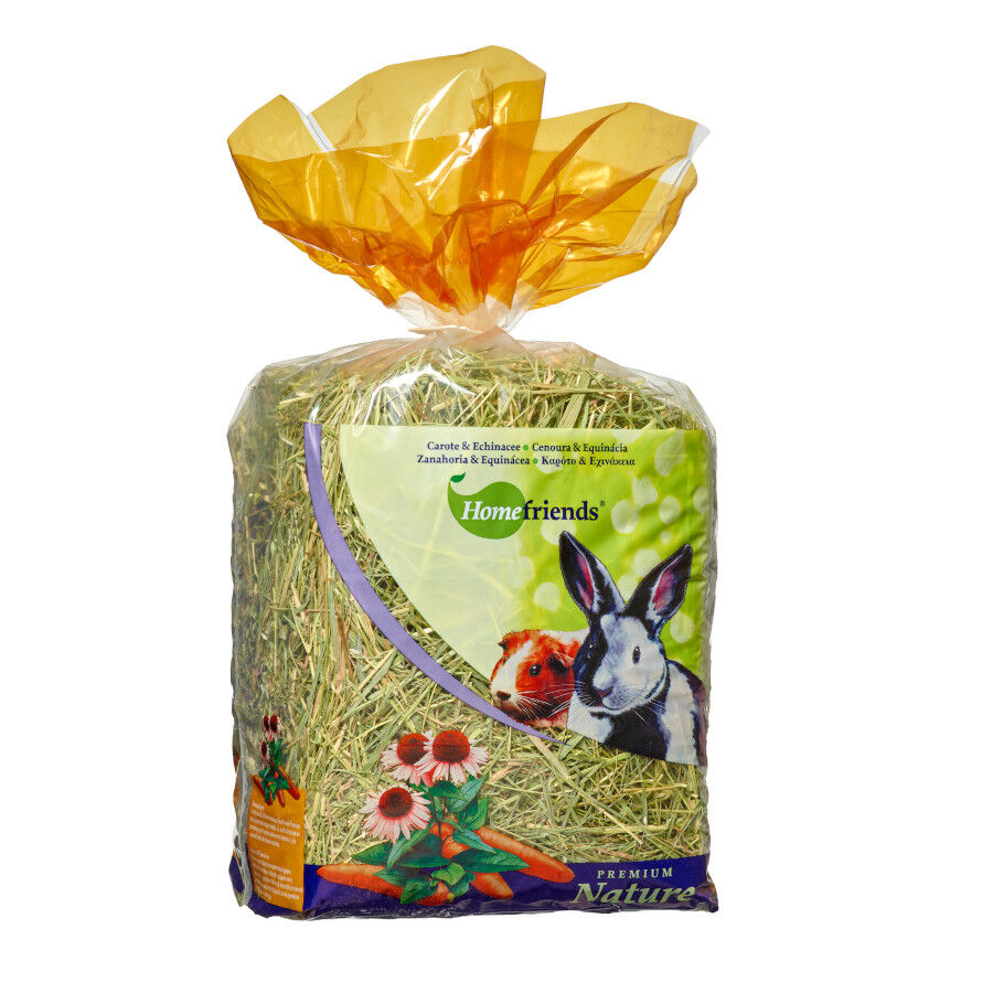 Home Friends Heno Cenoura para roedores, , large Imagem n&uacute;mero 1