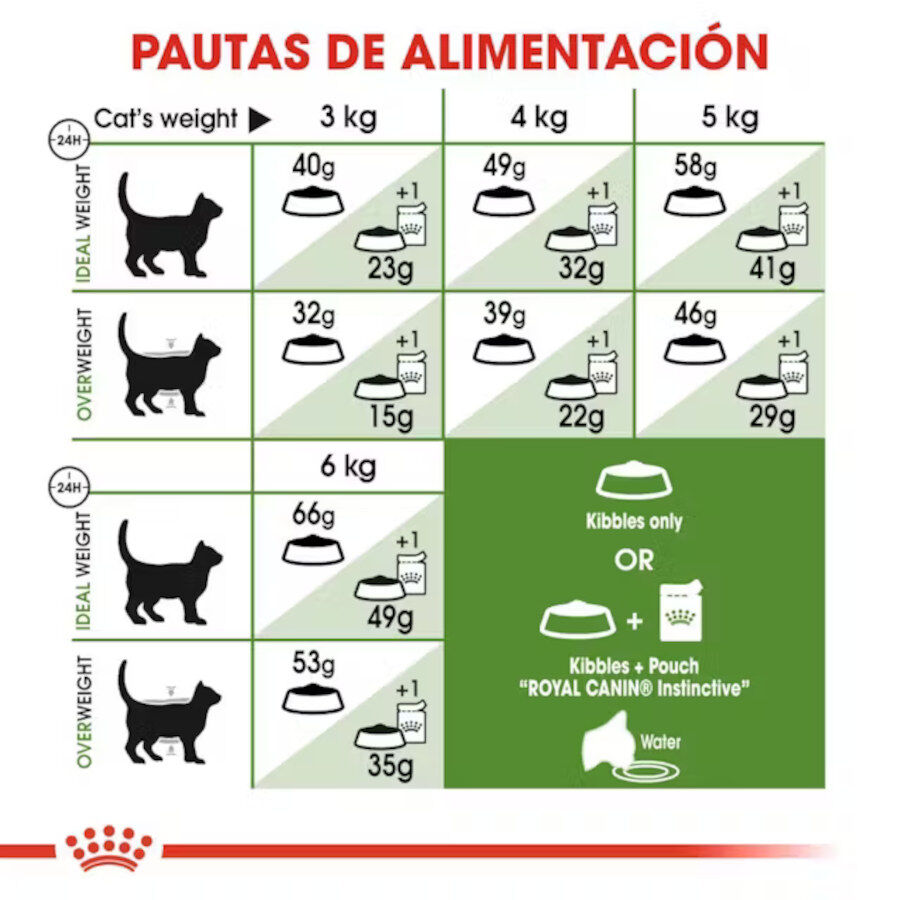 10 kg Royal Canin Active Life Outdoor Ra&ccedil;&atilde;o para gatos, , large Imagem n&uacute;mero 6