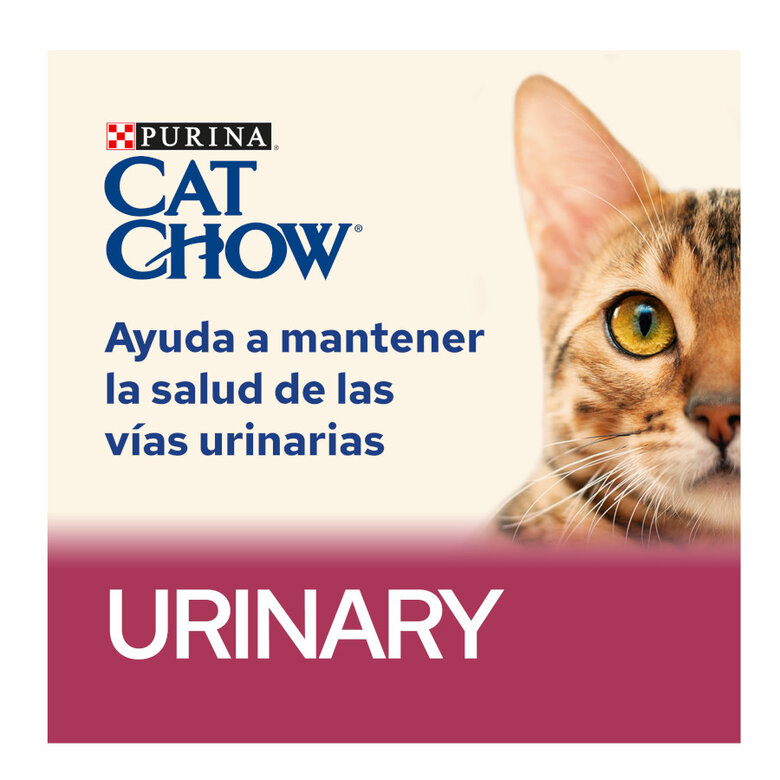 Cat Chow Urinary Tract Health Frango ração para gatos, , large image number null