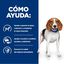 350 g Hill's Prescription Diet Weight Reduction lata para cães, , large Indicador imagem número 4