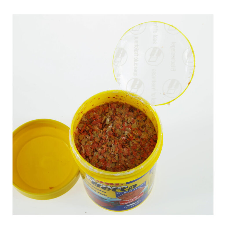 JBL Novo Betta Escamas ,  Imagem número 3 JBL Novo Betta Escamas , , large Imagem número 3