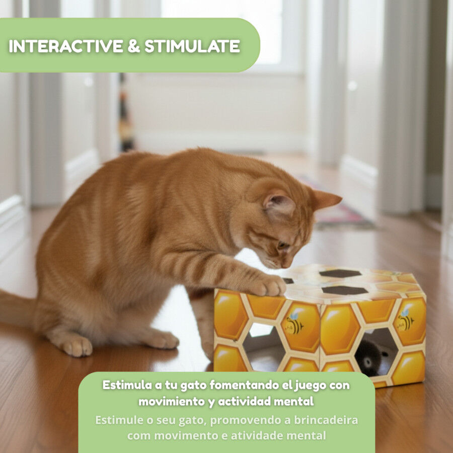 Tootoy! Interactive & Stimulate Brinquedo interativo para gatos, , large Imagem n&uacute;mero 5