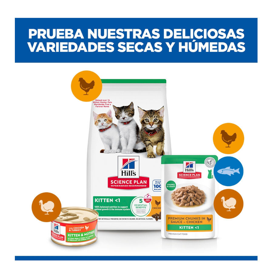 85 g Hill's Science Plan Kitten Frango saqueta em molho, , large Imagem n&uacute;mero 11