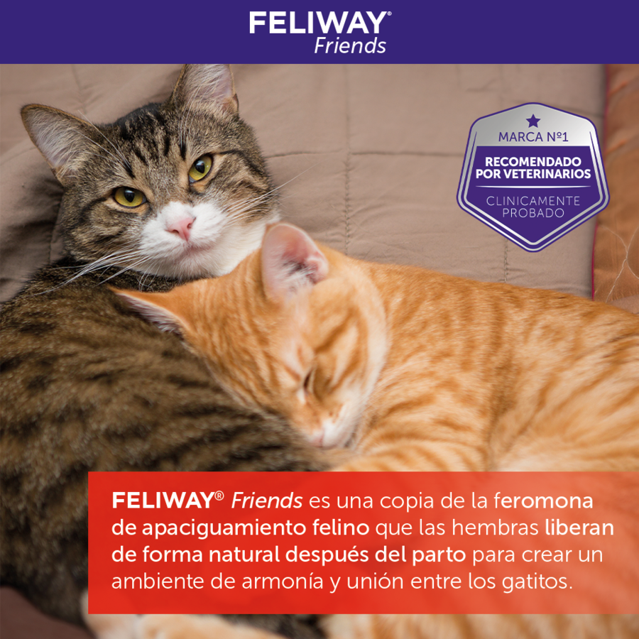Feliway Friends Difusor + Recarga para gatos, , large Imagem n&uacute;mero 7
