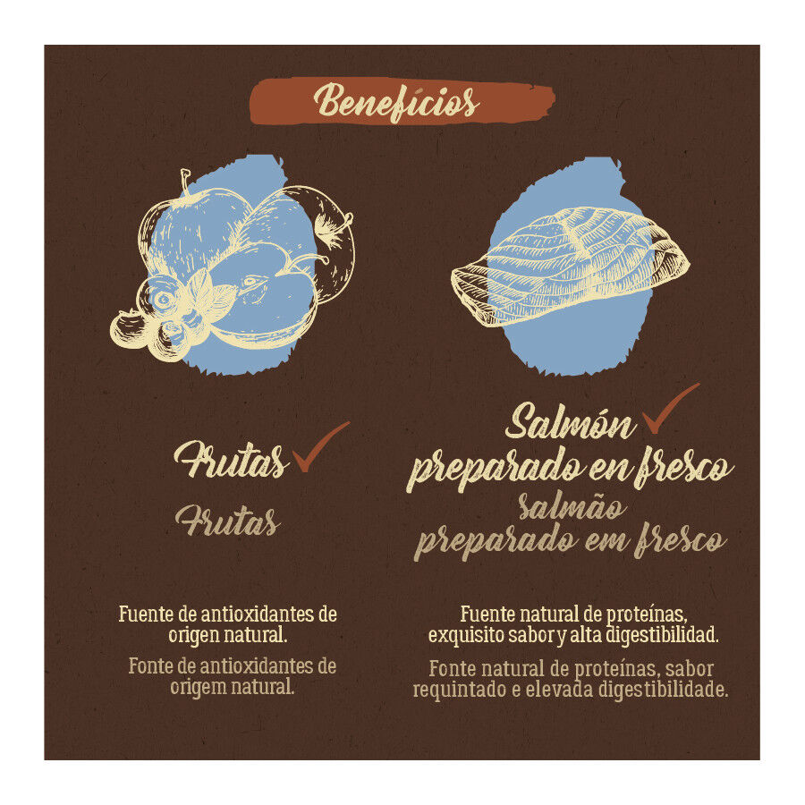 3 kg True Origins Pure Grain Free Adult Mini Salm&atilde;o ra&ccedil;&atilde;o para c&atilde;es, , large Imagem n&uacute;mero 4