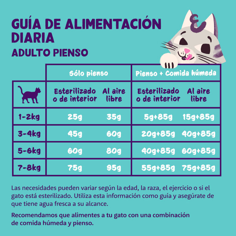 2 kg Edgard & Cooper Adult Ração de peru e frango para gatos ,  Imagem número 5 2 kg Edgard & Cooper Adult Ração de peru e frango para gatos , , large Imagem número 5
