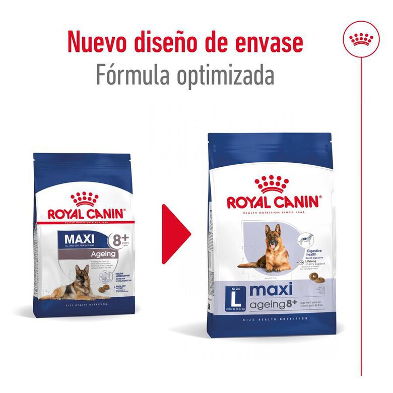 15 kg Royal Canin Maxi Ageing 8+ ração para cães,  Imagem número 2 15 kg Royal Canin Maxi Ageing 8+ ração para cães, , large Imagem número 2