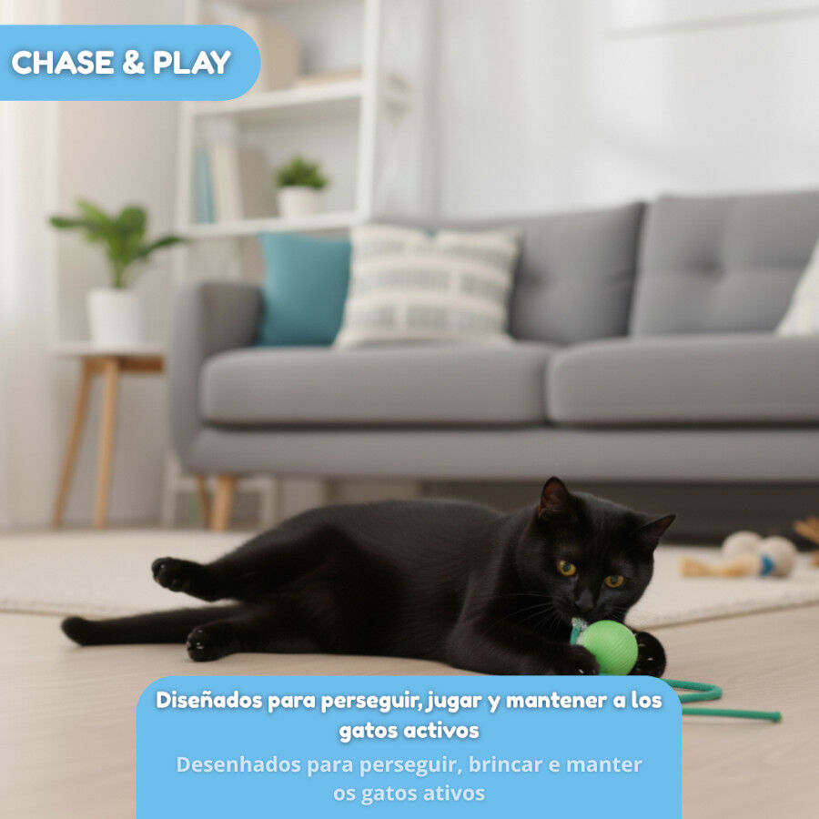 Tootoy! Chase & Play Bola interativa para gatos, , large Imagem n&uacute;mero 5