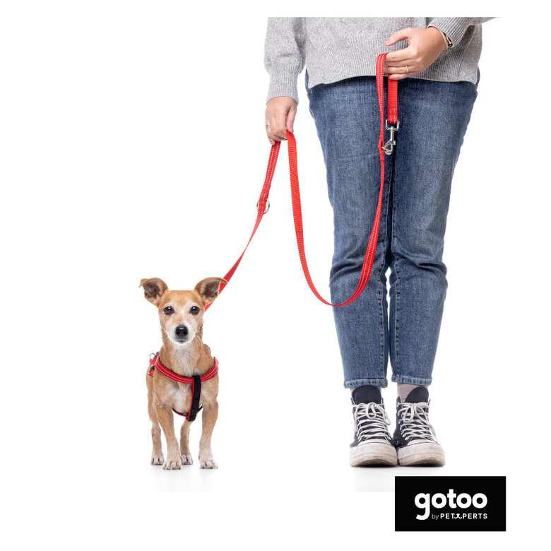 Gotoo Trela de nylon refletora vermelha para cães,  Imagem número 3 Gotoo Trela de nylon refletora vermelha para cães, , large Imagem número 3