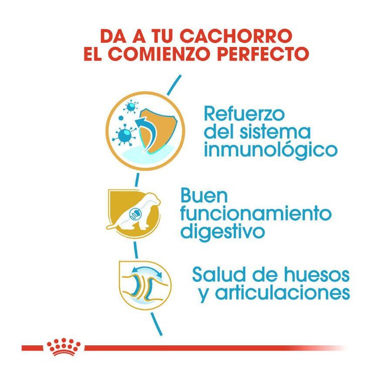 12 kg Royal Canin Puppy Pastor Alemão ração para cães,  Imagem número 6 12 kg Royal Canin Puppy Pastor Alemão ração para cães, , large Imagem número 6