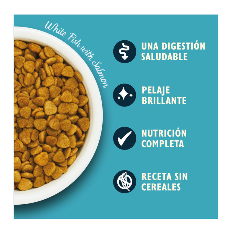 800 g Lily's Kitchen Feline Adult peixe,  Imagem número 3 800 g Lily's Kitchen Feline Adult peixe, , large Imagem número 3