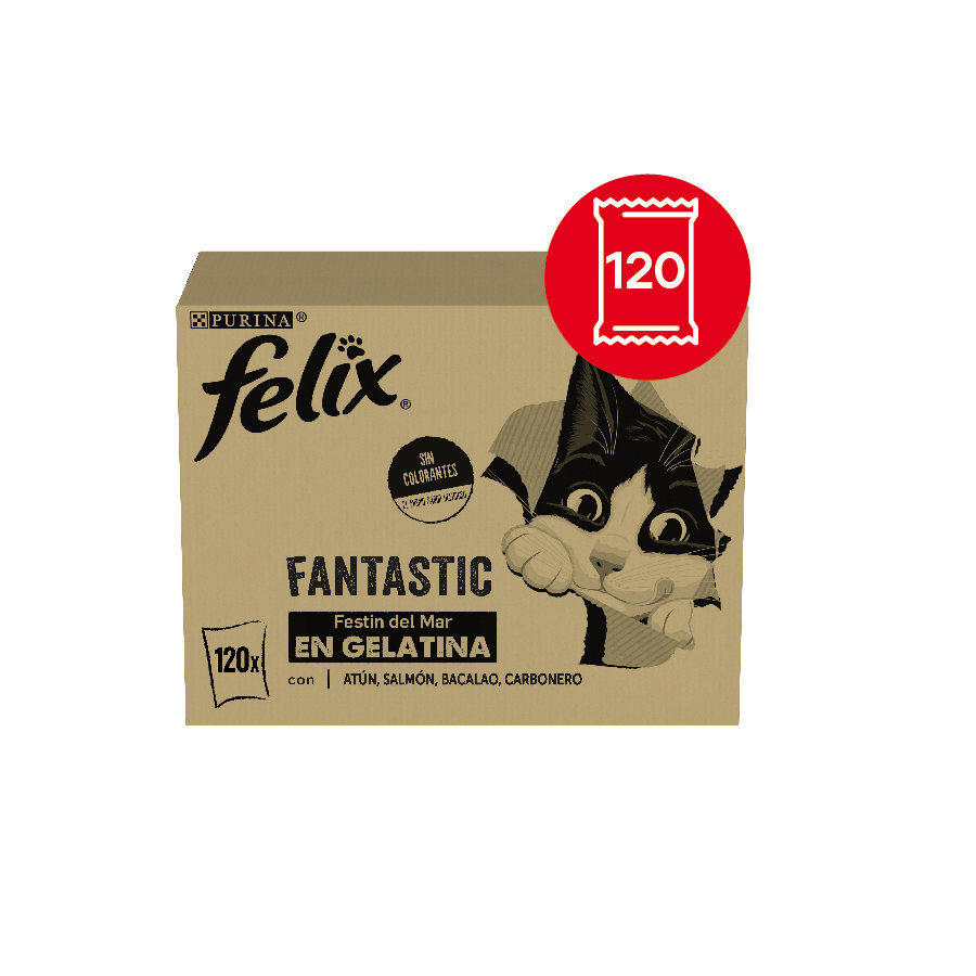 120 saquetas x 85 g Felix Fantastic Sele&ccedil;&atilde;o de Sabores Peixe em Gelatina saquetas para gatos - Multipack, , large Imagem n&uacute;mero 2