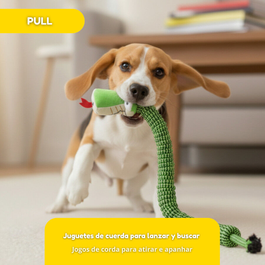 Tootoy! Pull Brinquedo de corda cobra de puxar para c&atilde;es, , large Imagem n&uacute;mero 5