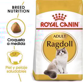 Royal Canin Adult Ragdoll ração para gatos