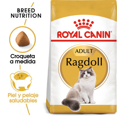 Royal Canin Adult Ragdoll ração para gatos