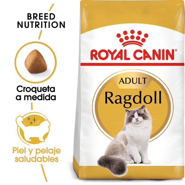 2 kg Royal Canin Adult Ragdoll ração para gatos,  Imagem número 2 2 kg Royal Canin Adult Ragdoll ração para gatos, , large Imagem número 2