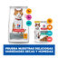 85 g Hill's Young Adult Science Plan Sterilised Truta Saqueta em Molho para gatos, , large Indicador imagem n&uacute;mero 8