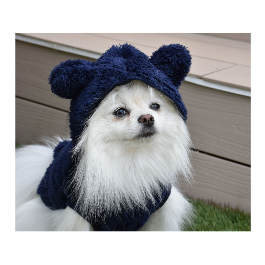 Nayeco Alaska Casaco azul-marinho para c&atilde;es, , large Imagem n&uacute;mero 2