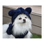 Nayeco Alaska Casaco azul-marinho para cães, , large Indicador imagem número 2
