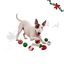 Wonder Christmas Bengala Doce Brinquedo para c&atilde;es, , large Indicador imagem n&uacute;mero 1