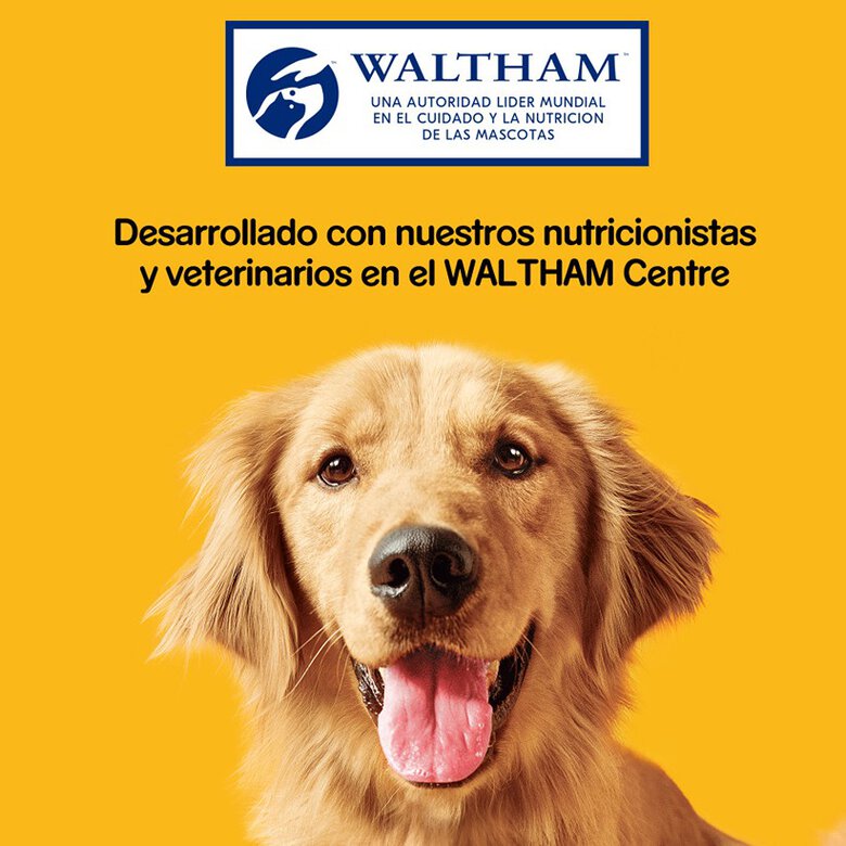 500 g Pedigree Biscoitos Biscrock de 3 Sabores para Cães,  Imagem número 8 500 g Pedigree Biscoitos Biscrock de 3 Sabores para Cães, , large Imagem número 8