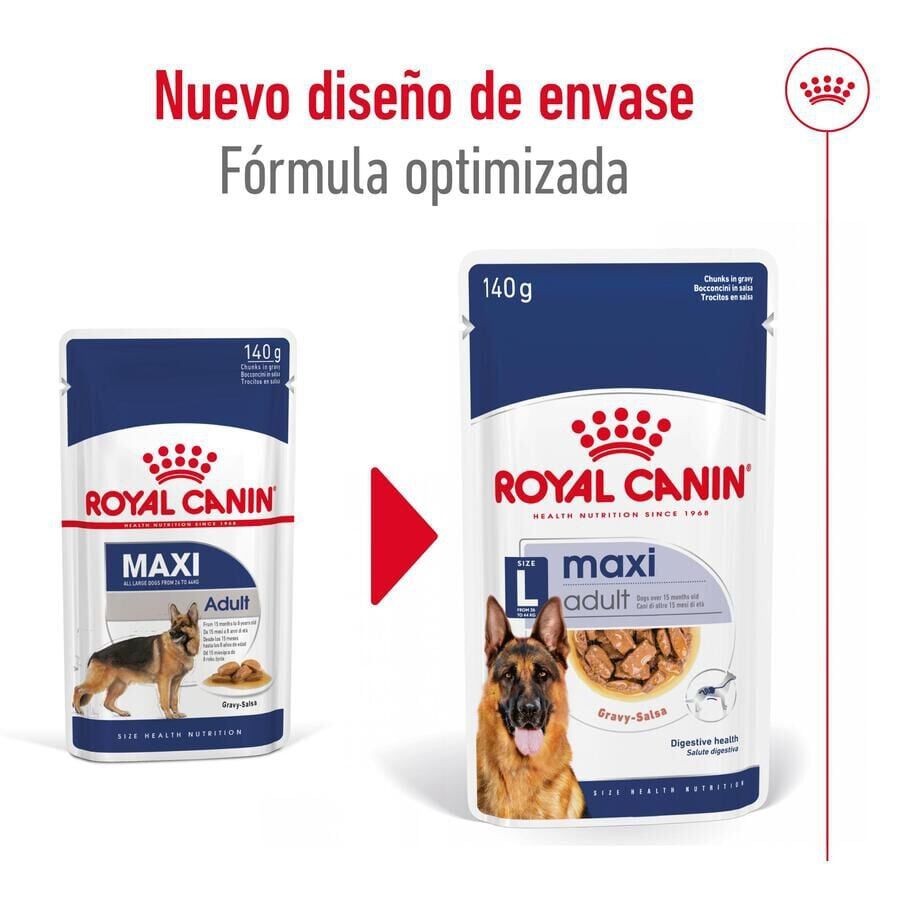 140 g Royal Canin Maxi Adult Carne saquetas em molho para c&atilde;es, , large Imagem n&uacute;mero 4