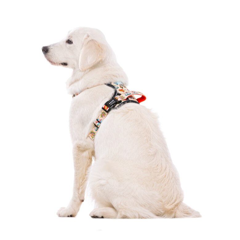 Dukier Tattoo Peitoral Trail para cães,  Imagem número 4 Dukier Tattoo Peitoral Trail para cães, , large Imagem número 4