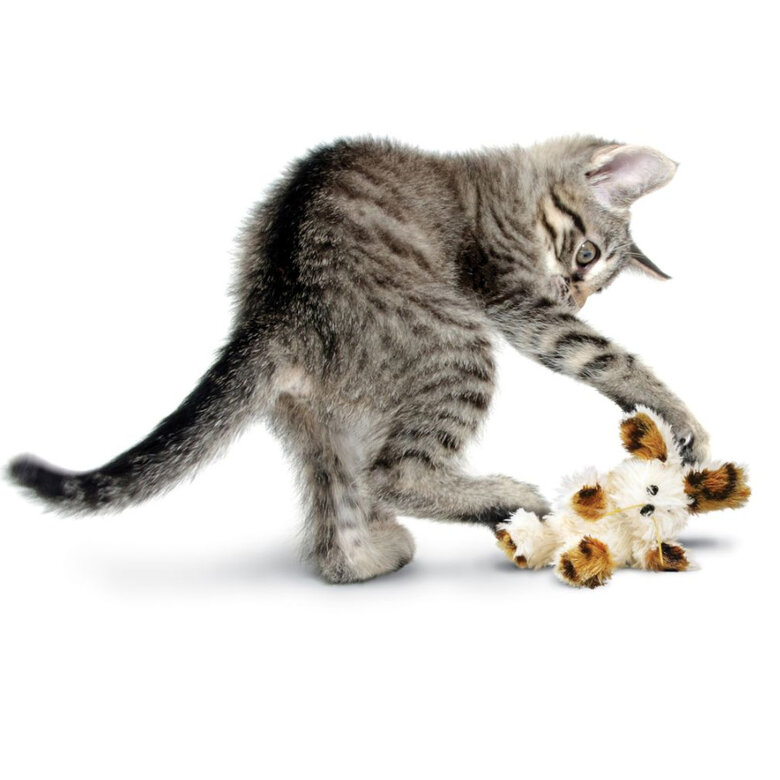 Kong Softies Patchwork Urso de peluche para gatos ,  Imagem número 2 Kong Softies Patchwork Urso de peluche para gatos , , large Imagem número 2