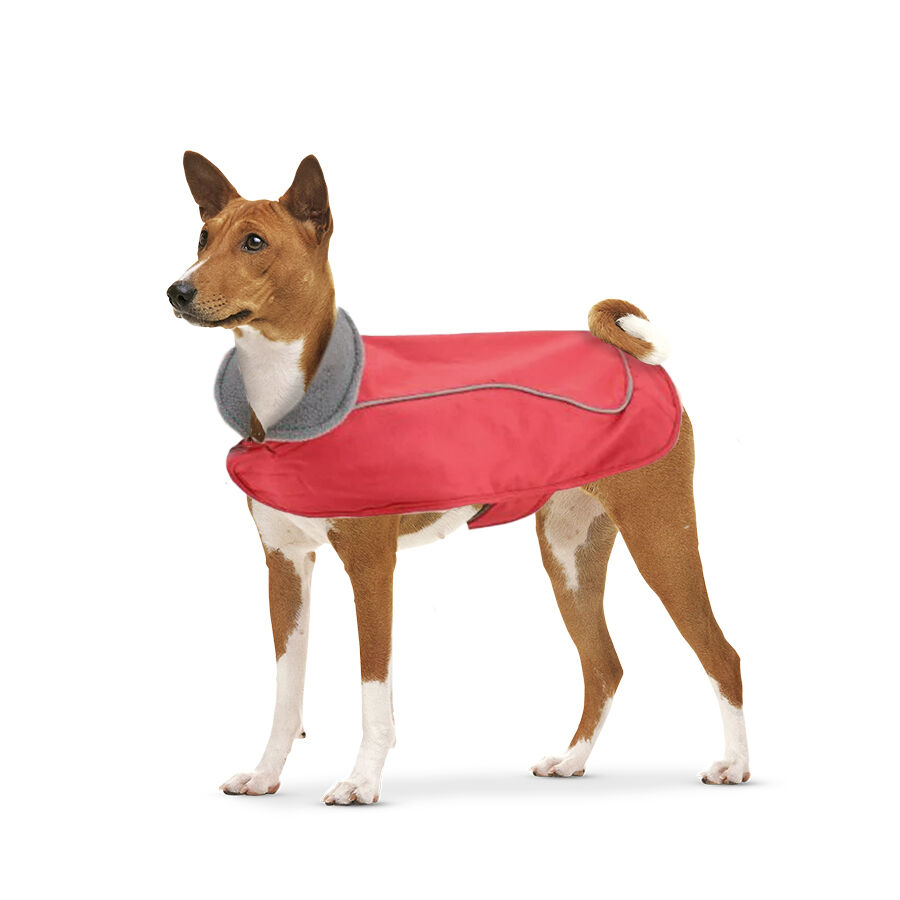 Outech Capa de Chuva Imperme&aacute;vel vermelho com capuz para c&atilde;es, , large Imagem n&uacute;mero 1