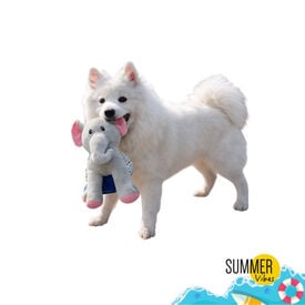 Summer Vibes Dolce Vita Elephant Peluche para c&atilde;es