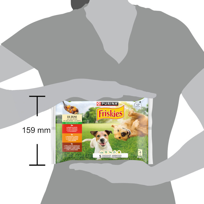 12 saquetas x 85 g Friskies Frango e Borrego Alimento Húmido para cães,  Imagem número 2 12 saquetas x 85 g Friskies Frango e Borrego Alimento Húmido para cães, , large Imagem número 2