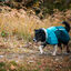 Non-stop Dogwear Capa de Chuva Imperme&aacute;vel Azul e Verde para c&atilde;es, , large Indicador imagem n&uacute;mero 3