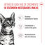 3.5 kg Royal Canin Kitten Sterilised ração para gatos , , large Indicador imagem número 3