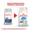 3.5 kg Royal Canin Home Life Indoor 7+ ração para gatos, , large Indicador imagem número 3