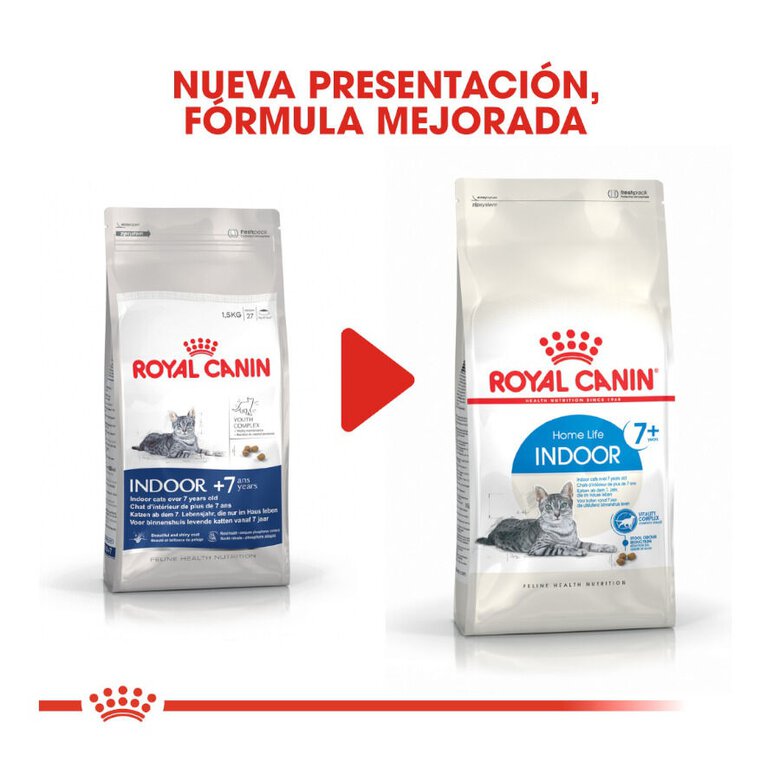 3.5 kg Royal Canin Home Life Indoor 7+ ração para gatos,  Imagem número 3 3.5 kg Royal Canin Home Life Indoor 7+ ração para gatos, , large Imagem número 3