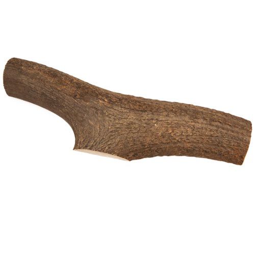 Criadores media Asta de ciervo natural perros Imagem n&uacute;mero 1