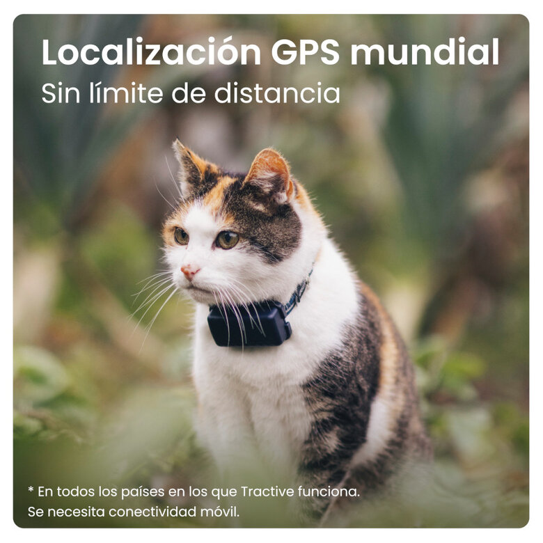 Iberoluso Tractive Localizador GPS para gatos,  Imagem número 4 Iberoluso Tractive Localizador GPS para gatos, , large Imagem número 4