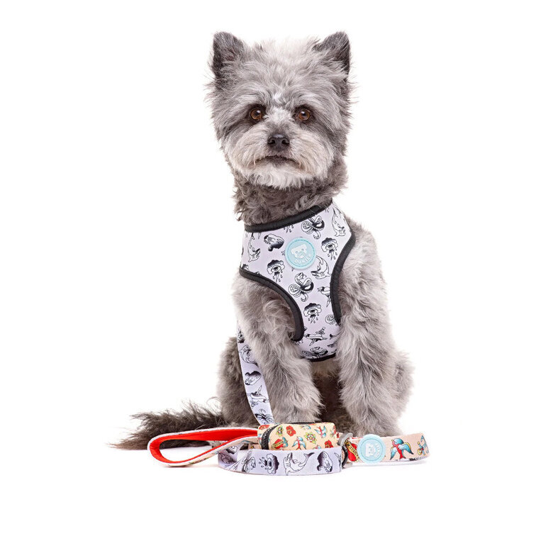 Dukier Peitoral reversível com estampado de tatuagem para cães,  Imagem número 4 Dukier Peitoral reversível com estampado de tatuagem para cães, , large Imagem número 4