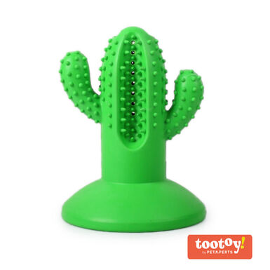 Tootoy! Chew Dental Hygiene Cactus Mordedor para cães