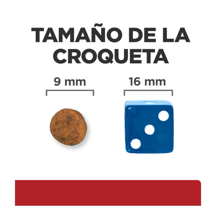 1.5 kg Hill's Prescription Diet i/d Digestive Care Kitten Digestivo Ra&ccedil;&atilde;o de frango para gatinhos, , large Imagem n&uacute;mero 11