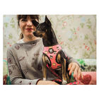 Dukier Dogtella Peitoral reversível com estampado de Nutella para cães, , large image number null
