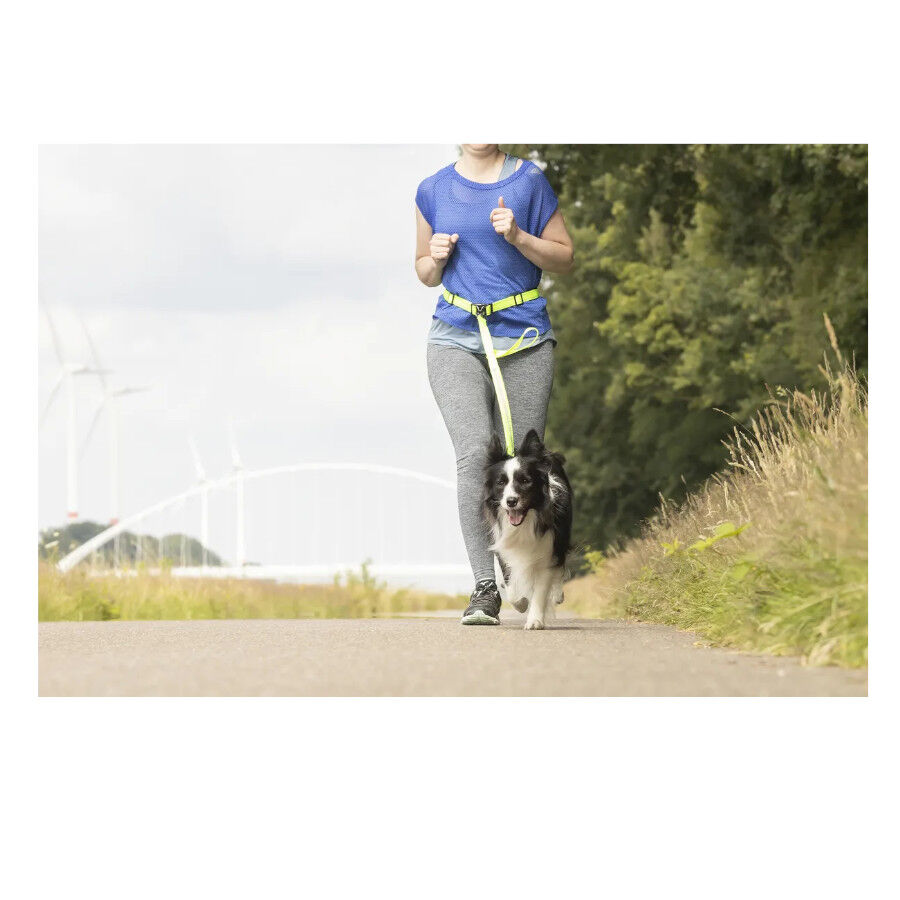Flamingo Trela Canicross Amarela Fluorescente para c&atilde;es, , large Imagem n&uacute;mero 6